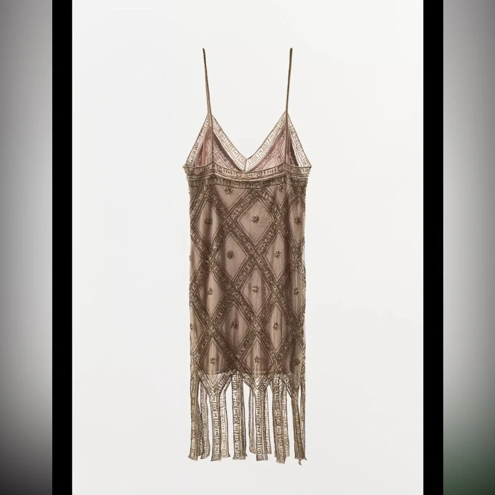 Zara limited edition EMBROIDERED TULLE Mini DRESS - Picture 14 of 15